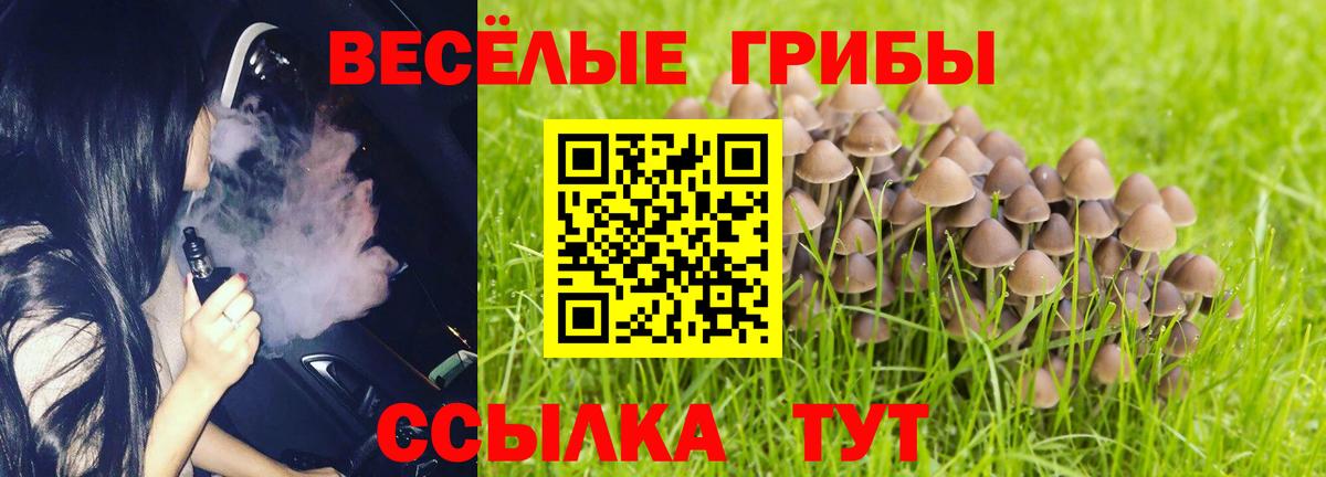 Галлюциногенные грибы MAGIC MUSHROOMS Жигулёвск